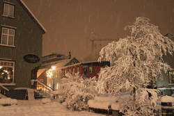 Snowy