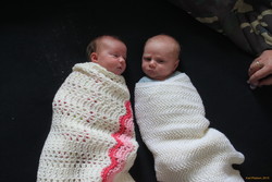 Cousins