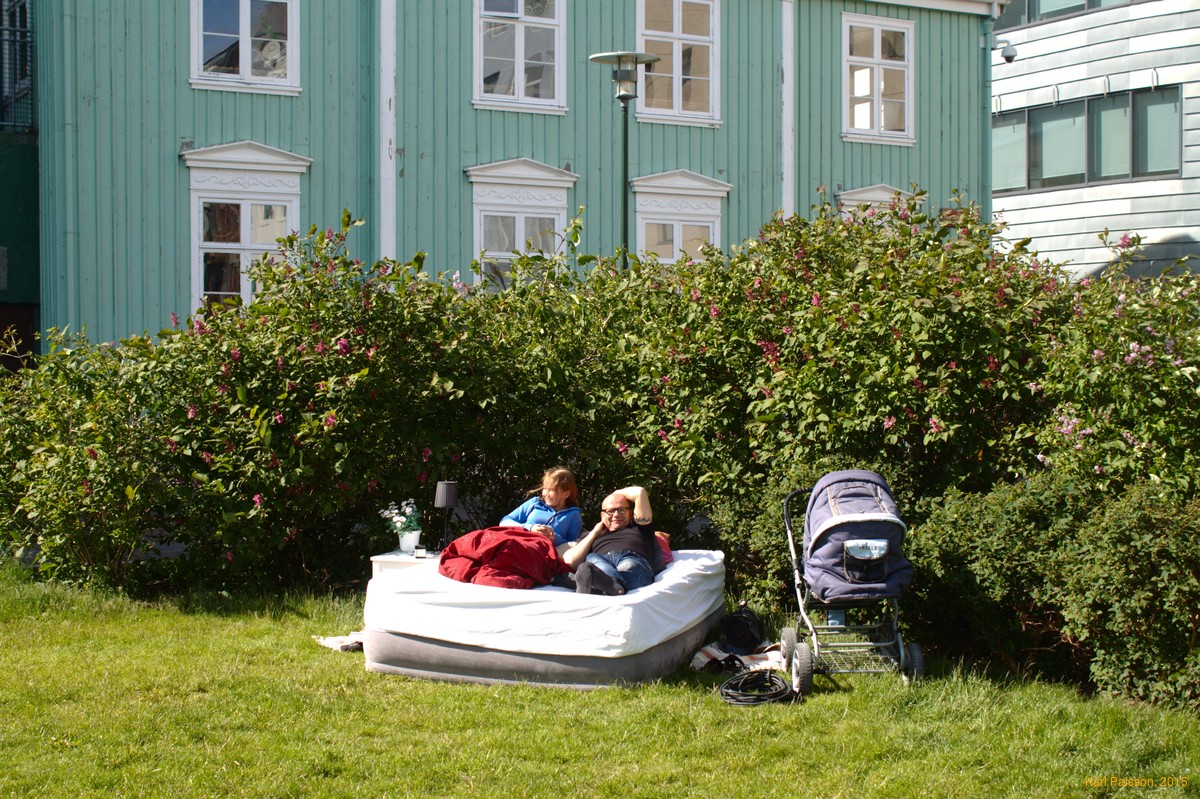 Austurvöllir life
