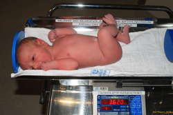 Babyfresh