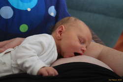 Dozy after a feed
