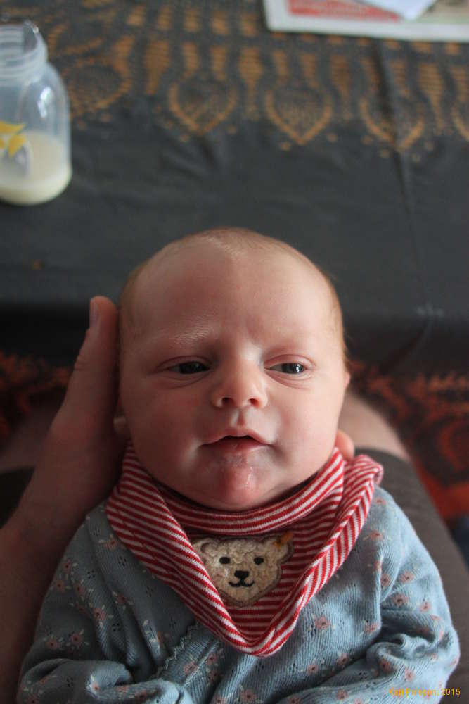 Spoon feeding