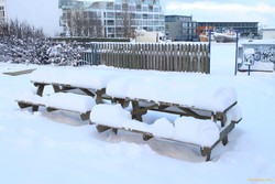 Lots of snow