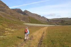 The road ahead