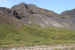 Mum under the ridge