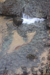 Coloured creek