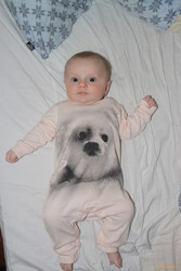 I'm a seal!