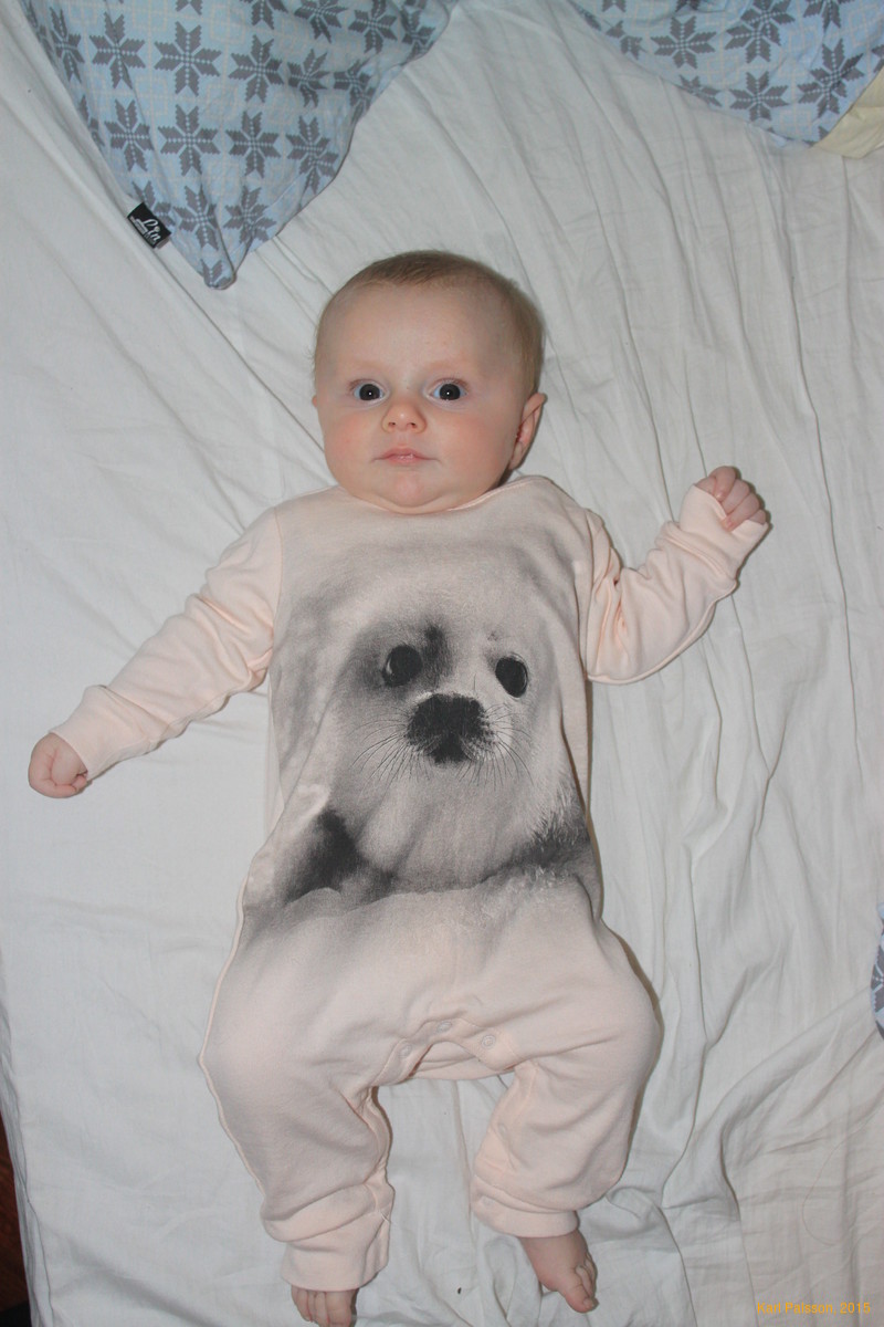 I'm a seal!