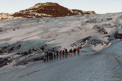 Ants on the ice