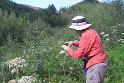 Mum looking at bugs