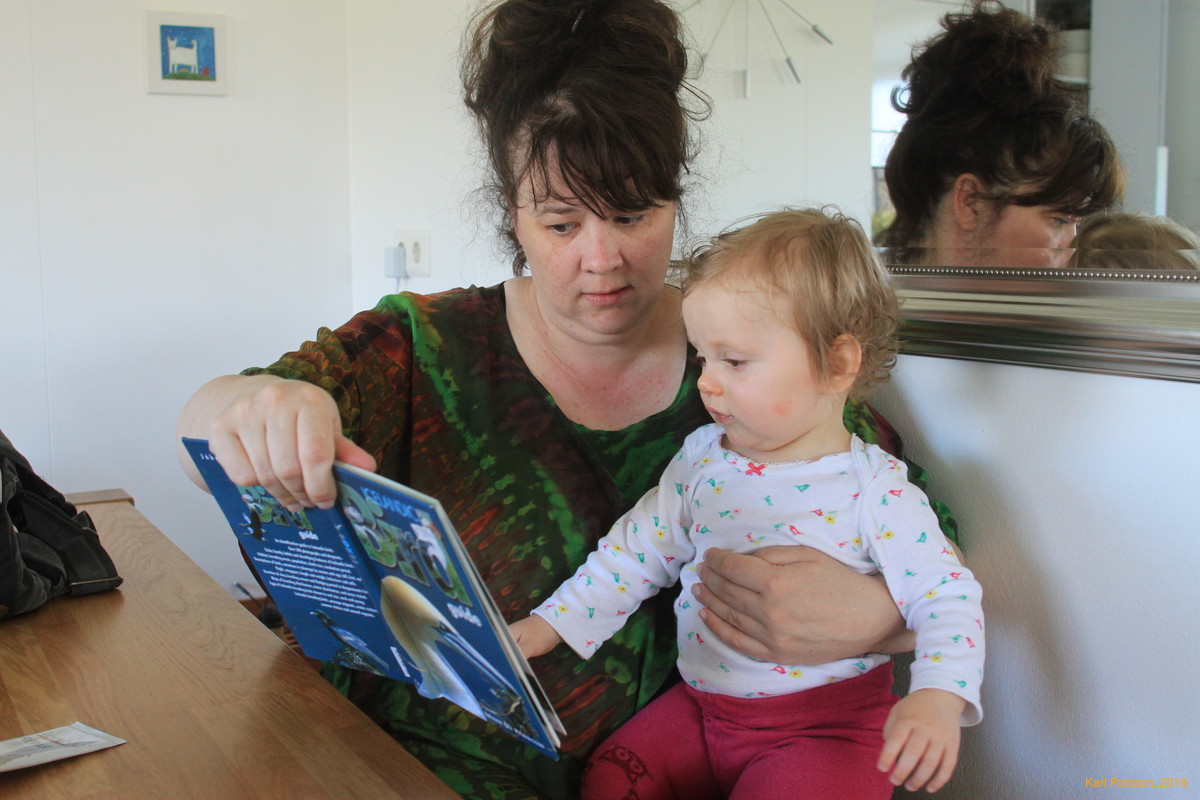 Learning about birds