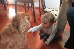 Stella and Gosi