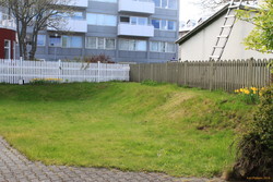 Garden in late May