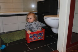 If it fits, I sits