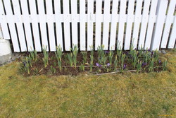 Spring is coming