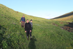 Green meadows
