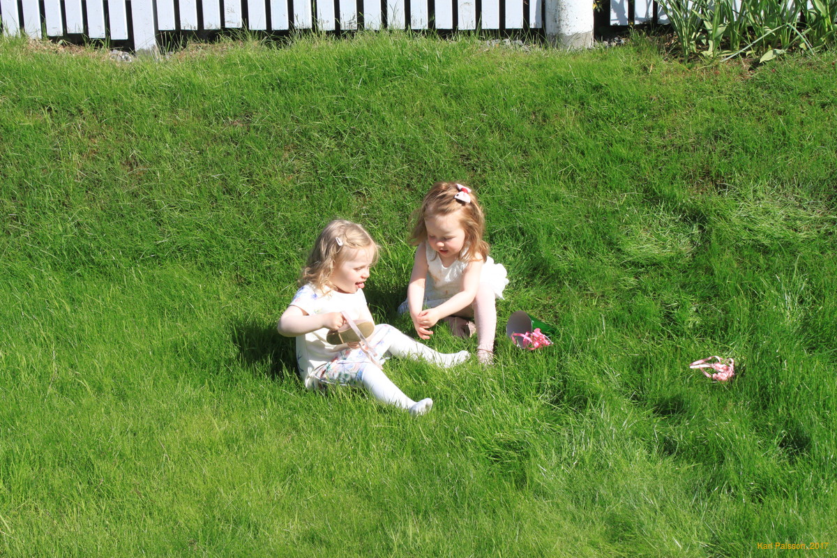 Stella and Yrsa
